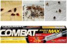 Combat Bedbug