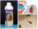 Ubat untuk bug dari pepijat