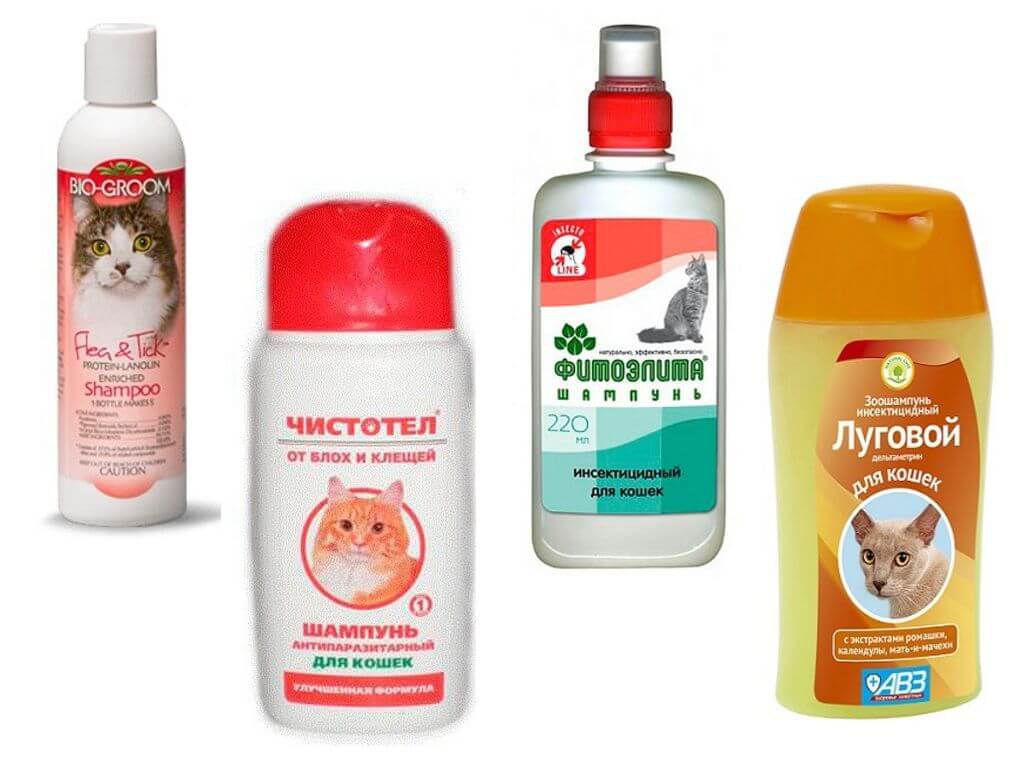 Ang pinakamahusay na mga shampoos ng flea