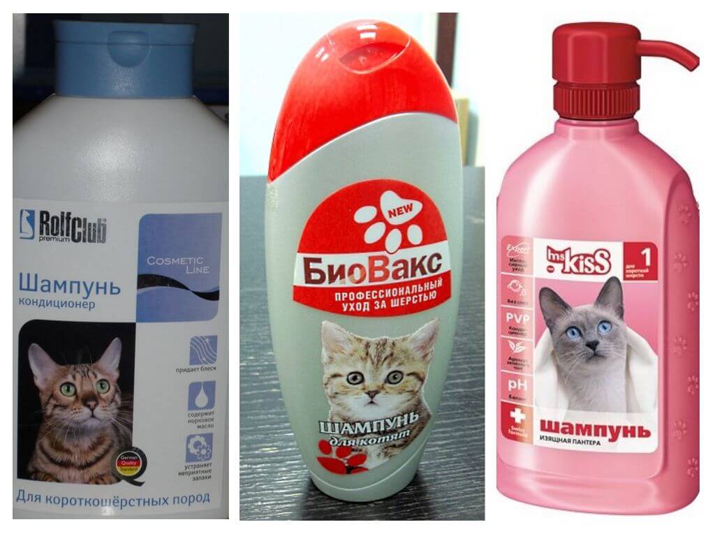 Shampoo per pulci per gattini e gatti
