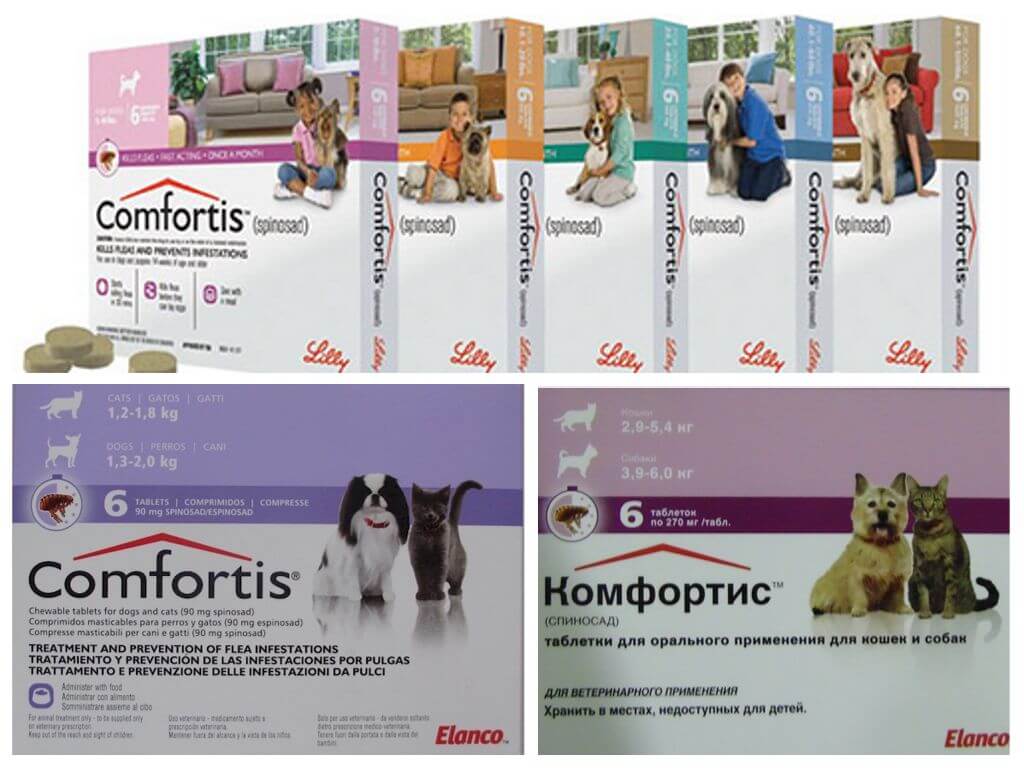 Köpekler ve kediler için pire tabletleri