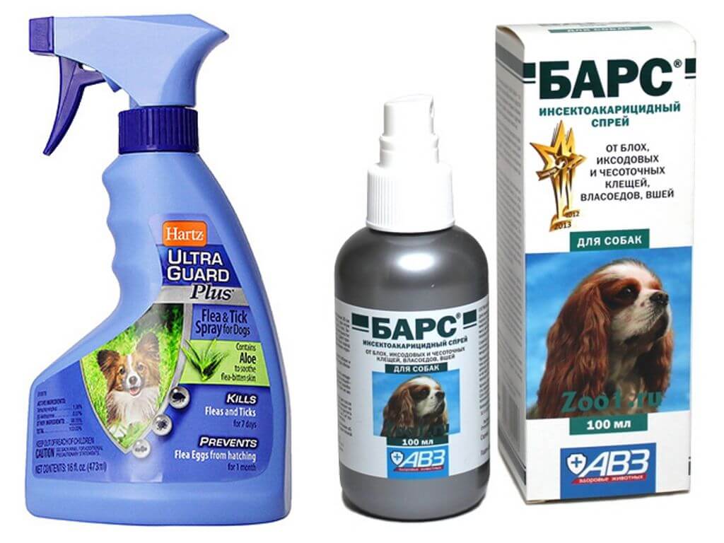 Cele mai bune spray-uri pentru purici pentru câini