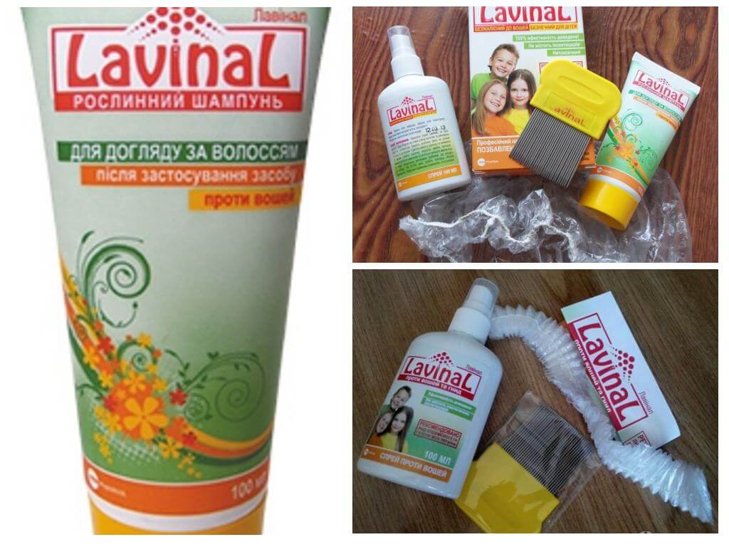 Shampoo at spray ang Lavinal mula sa mga kuto at nits