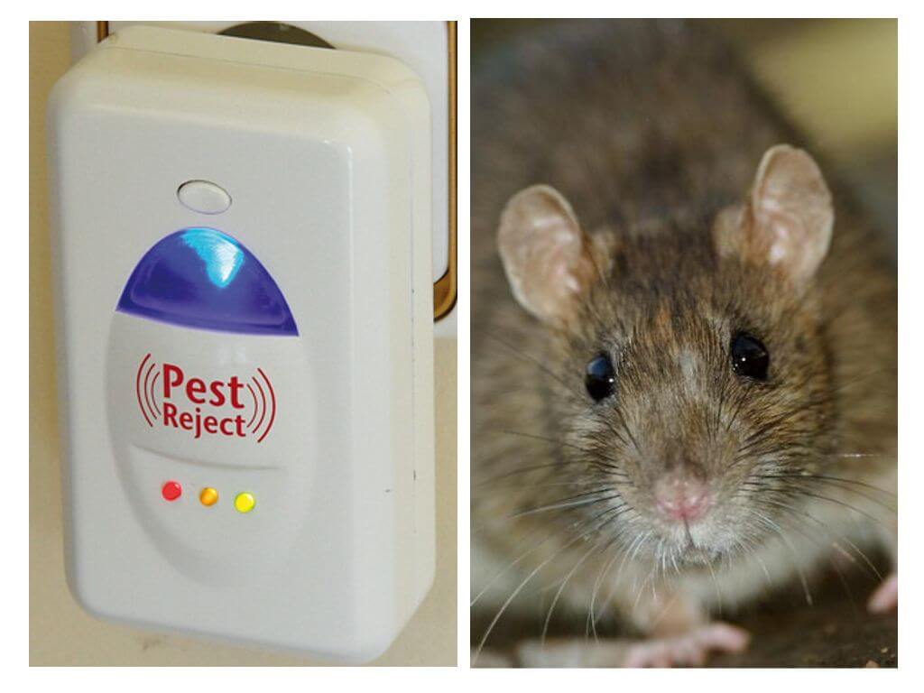 Rejeição de pragas Ultrasonic roedor e repelente de insetos