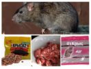 Produse chimice pentru șobolani