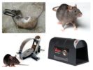 Perangkap tikus