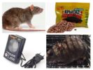 Žiurkių kontrolės metodai