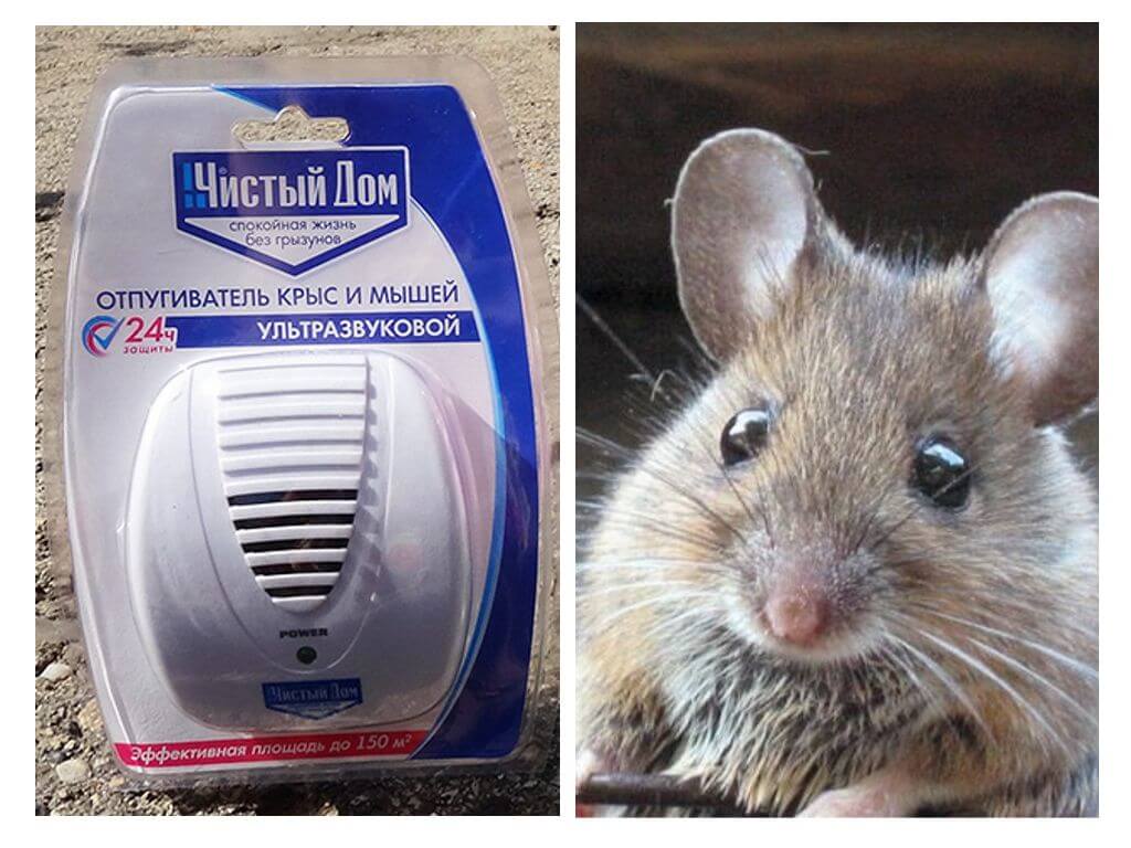 Ултразвуков отблъскващ плъх и мишка Clean House