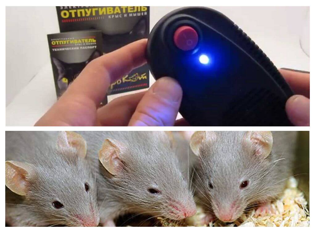 Repeller di topi e ratti Electrocat