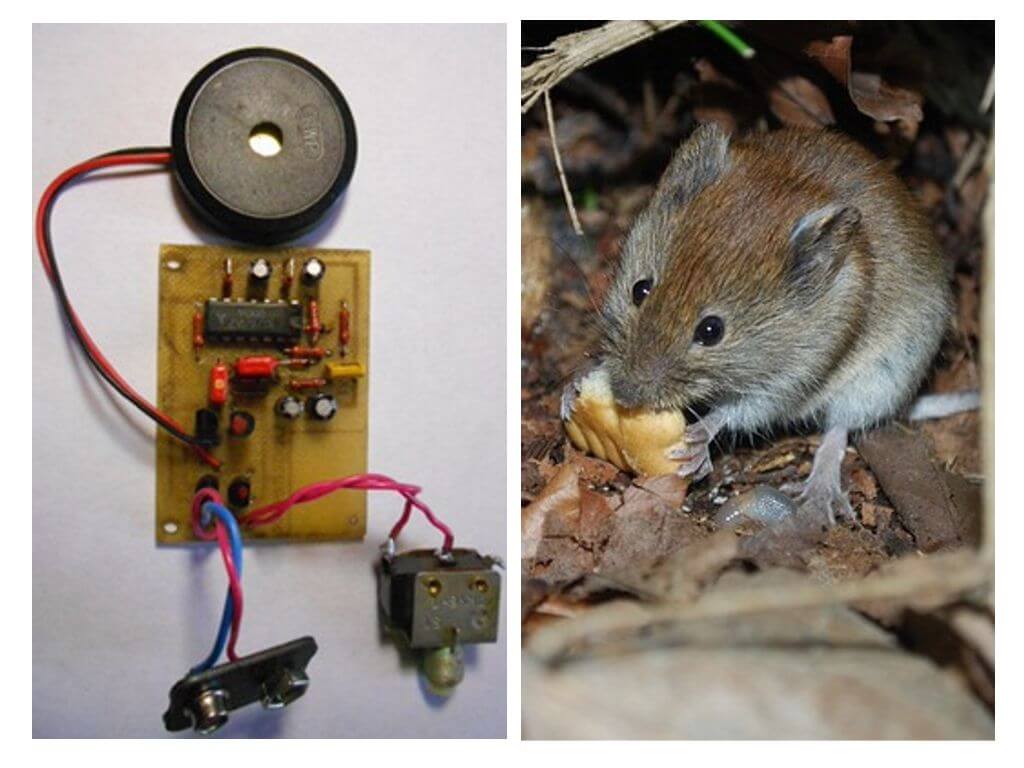 Sıçanlar ve fareler için kendin yap ultrasonik kovucu