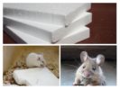 Styrofoam och mus