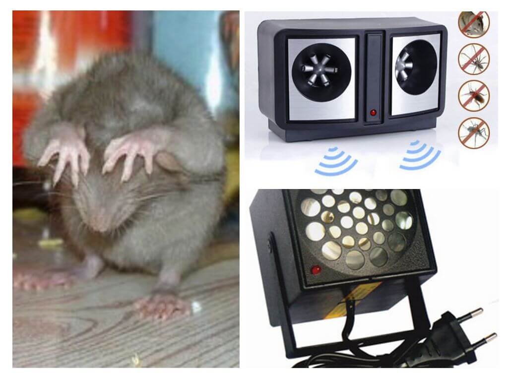Repelentes ultrassônicos de roedores