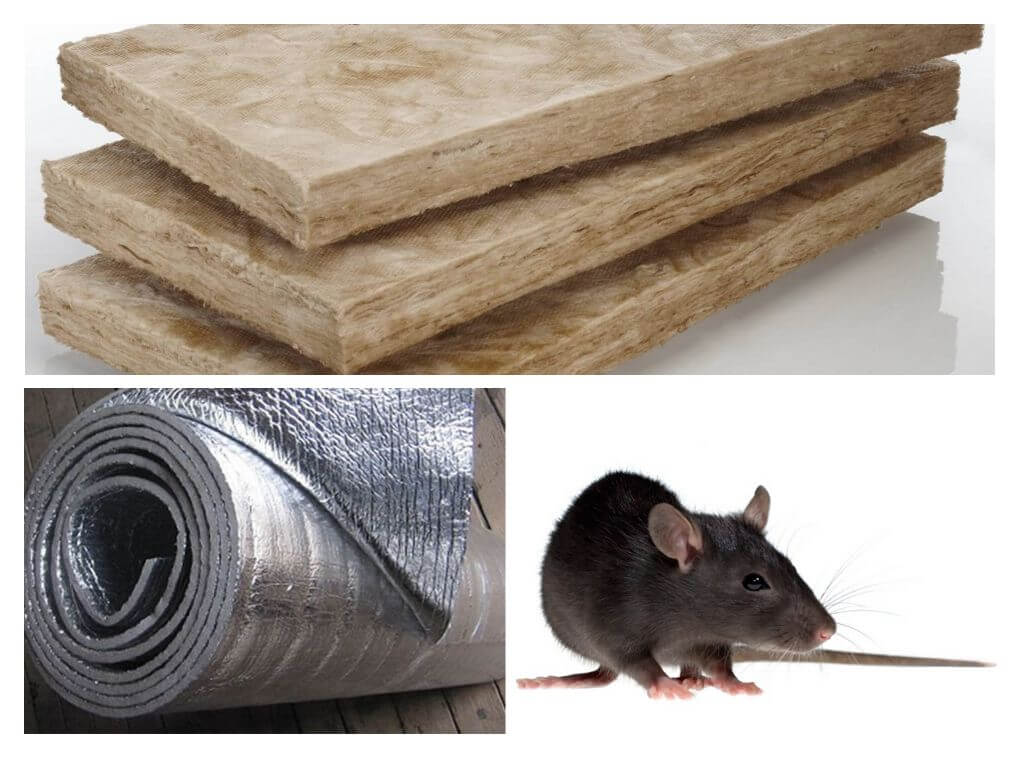 Kokios izoliacijos nevalgo žiurkės ir pelės