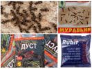 Productos químicos contra hormigas