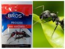 علاج رمي النمل