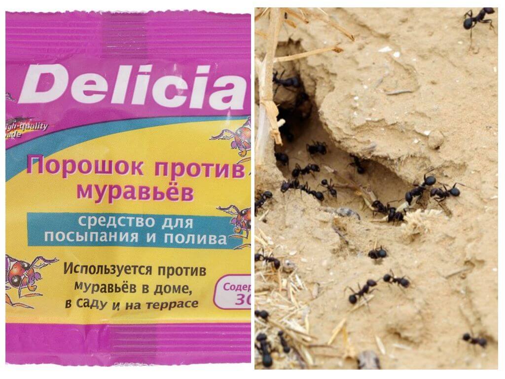 Delicia skruzdžių milteliai
