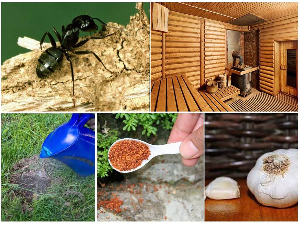 Kako izvući mrave iz kupke