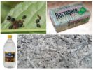 وصفات شعبية من حشرات المن