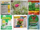 Химикали за растителна защита