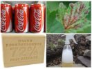 تستخدم كوكا كولا ضد حشرات المن