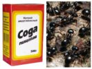 Soda en la lucha contra las hormigas