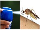 Sivrisineklerden aerosoller