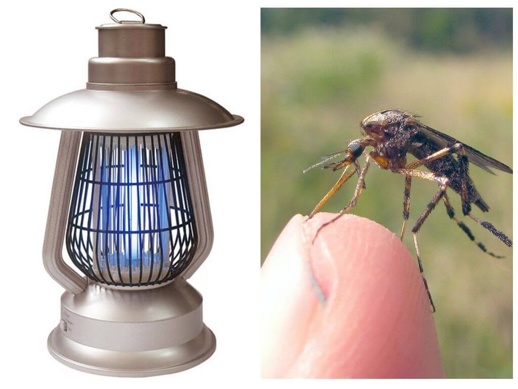 Lámpara de mosquito