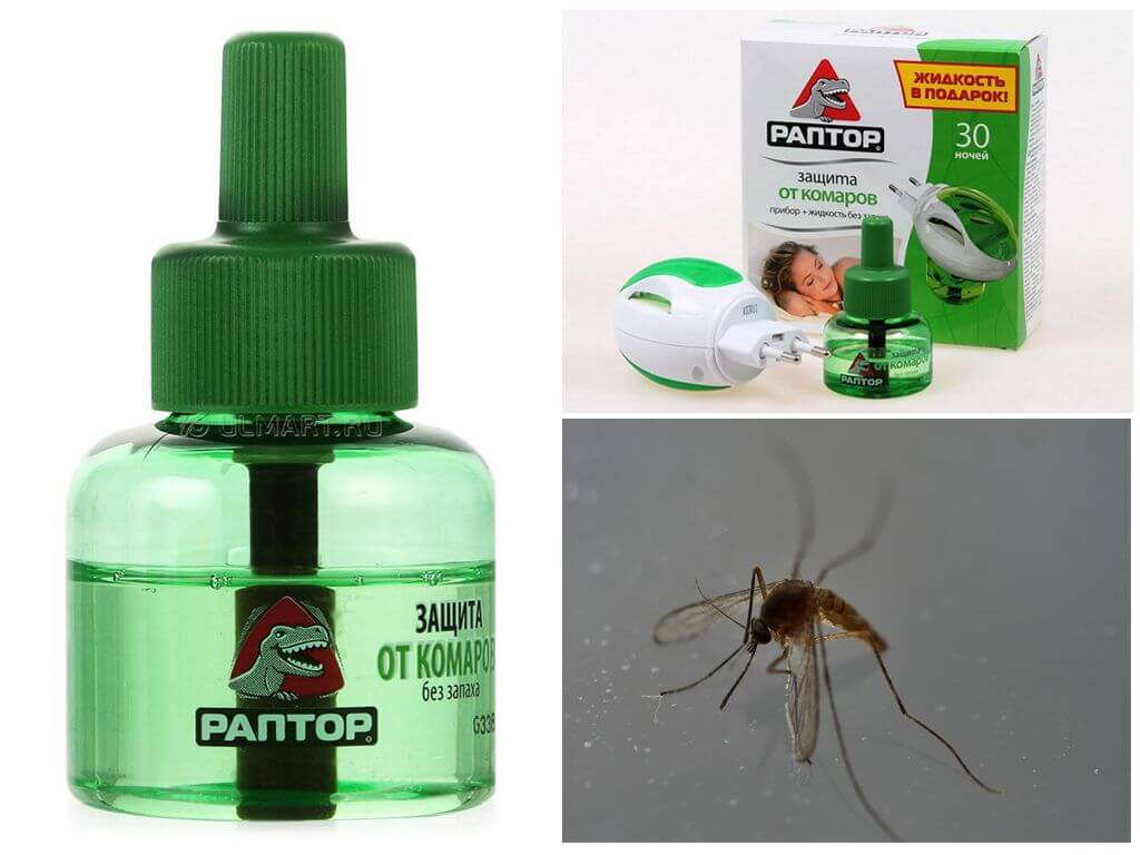 Odstraszacz komarów Raptor