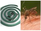 Helix från myggor