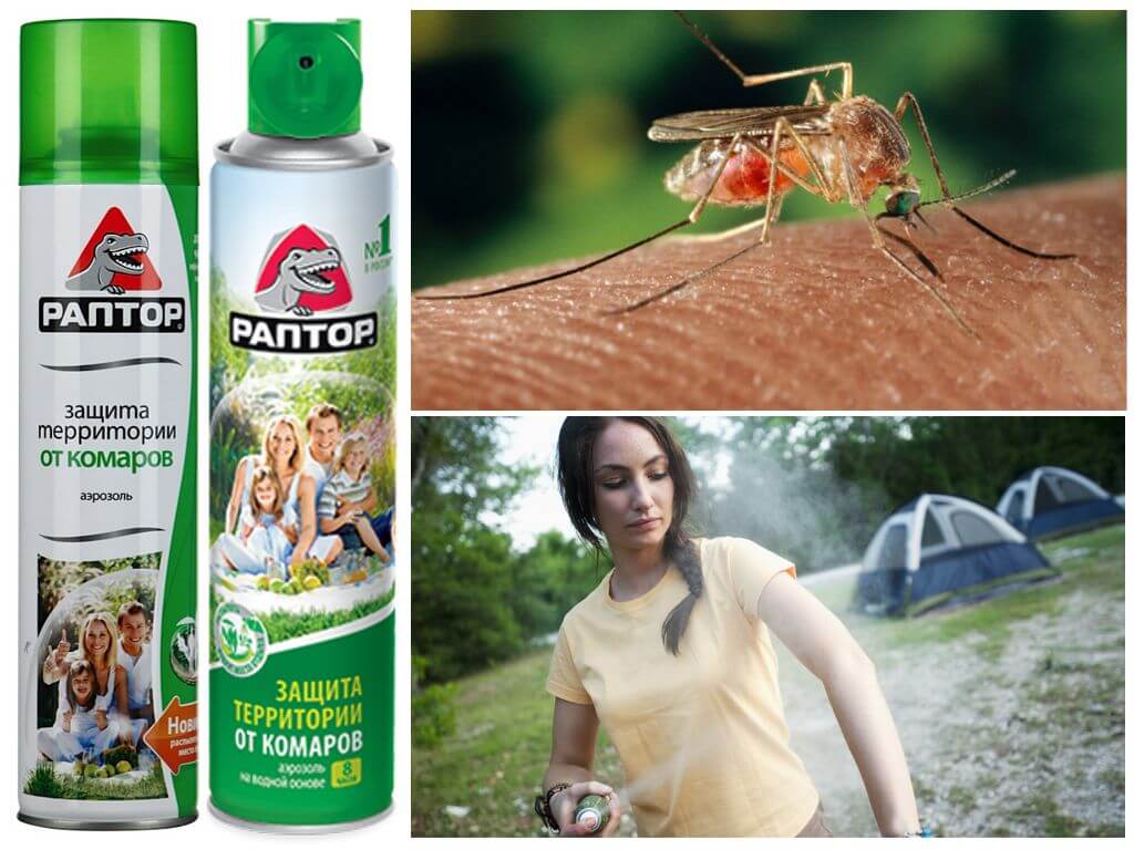 Protection contre les moustiques Raptor