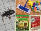 La distruzione di scarafaggi in casa