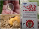 Kolorado bulvių vabalas „Klotiamet“ insekticidas