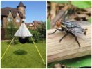 Gadflies ve at sinekleri için ev yapımı tuzaklar