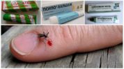 Maści do łagodzenia swędzenia po ukąszeniach komarów