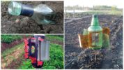Akustiska apparater för att avvisa mol från trädgården