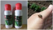Престиж лек за колорадски бръмбар от Колорадо