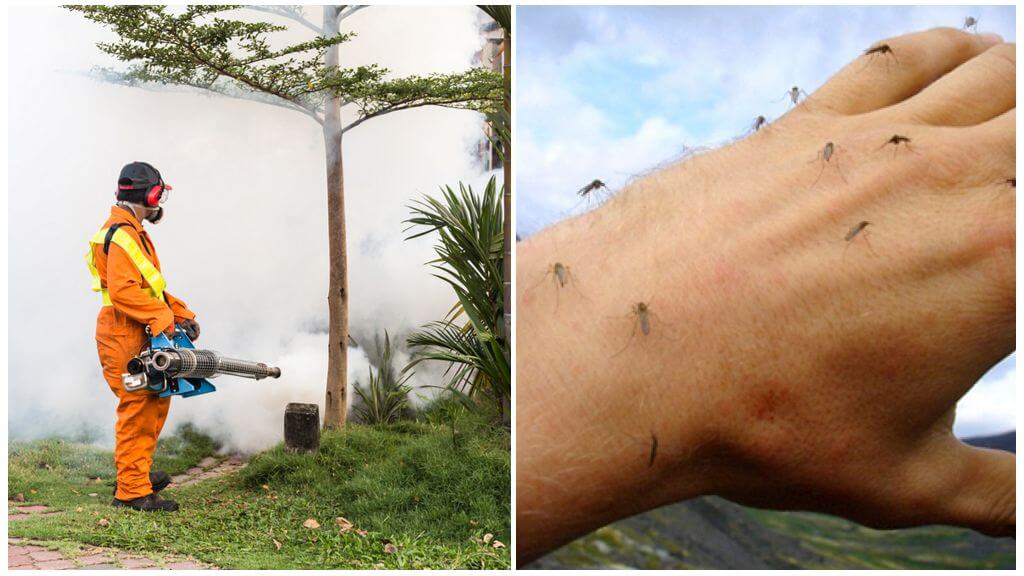 Medel för bearbetning av webbplatsen från myggor och fästingar