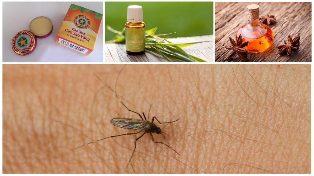Resumen de remedios caseros para mosquitos y mosquitos en la naturaleza