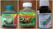 מוצרים ביולוגיים נגד תולעי משי