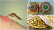 שיטות למניעת יתושים