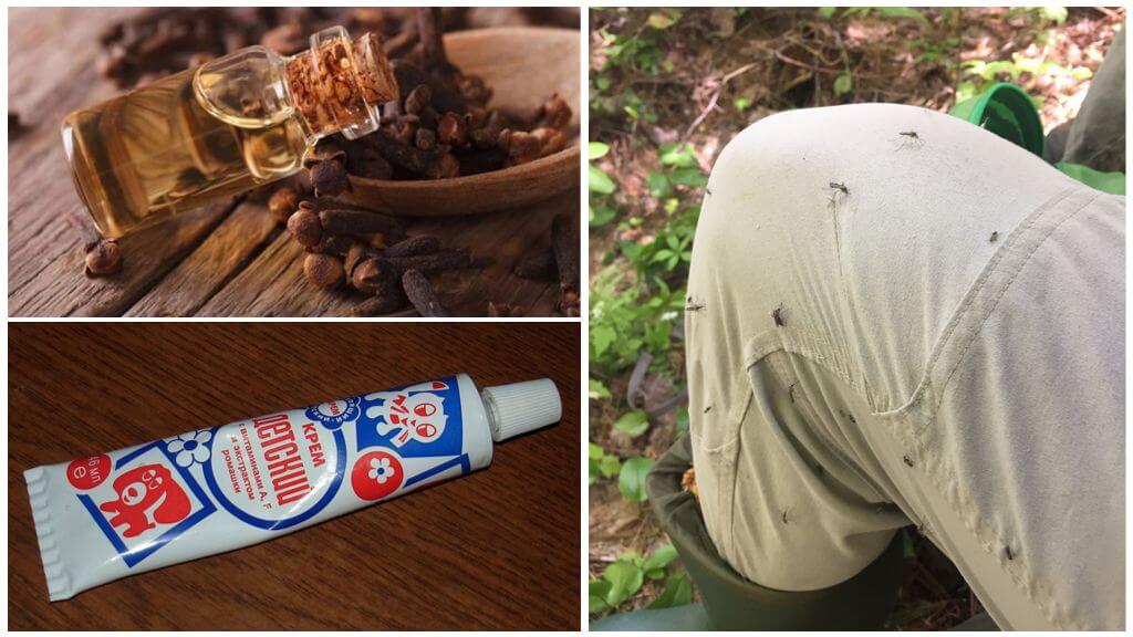 Folk remedies for mosquitoes