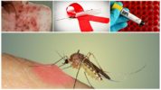 AIDS dan nyamuk