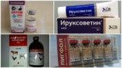 Drogues per al tractament de malalties causades per les paparres