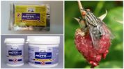 Лекарството Agita от мухи
