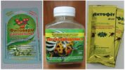 Productos biológicos para combatir los ácaros.