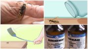 Métodos de controle de vespas