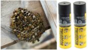 Eşekarısı ve yaban arısı yuvalarından Mosquitall aerosol