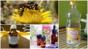 Halk ilaçları ile yaban arısı savaşı