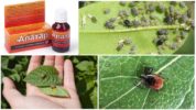 Alatar insectenwerend middel