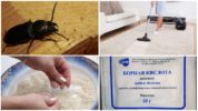 ต่อสู้กับแมลงในบ้าน